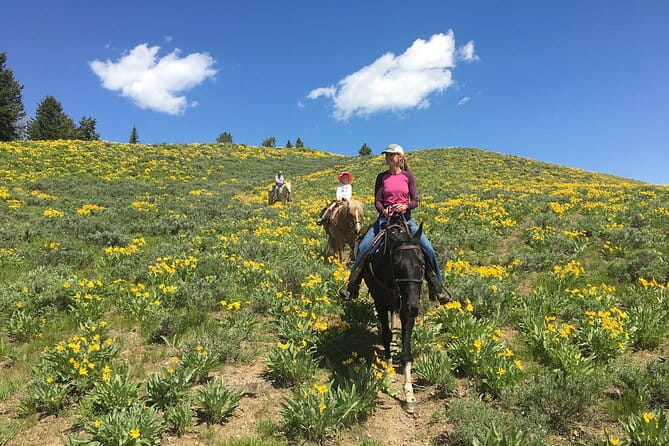 Jackson Hole Horseback Riding in Bridger Teton National Forest - An In-Depth Look at the Experience