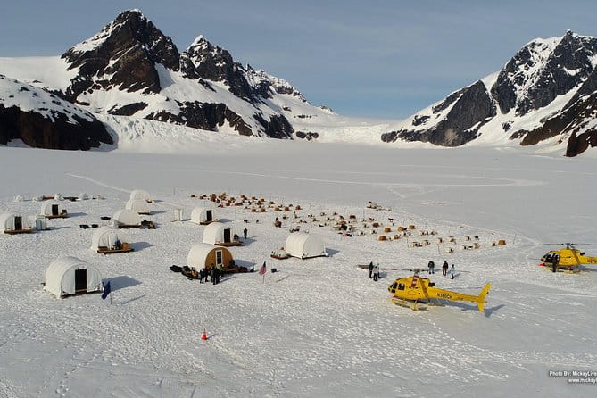 Juneau Shore Excursions: Juneau Helicopter Tour & Dogsledding Experience - Who This Tour Is Perfect For