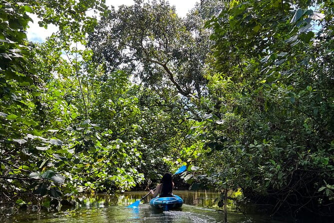 Kahana Bay River to Ocean: Kayak and Stand Up Paddle Board Rental - Introduction to the Experience