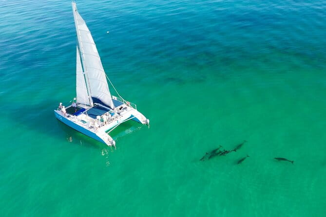Kayak + Guided Snorkel & Morning Sail hosted by Honest Eco - An Adventure in the Heart of Key West’s Ecosystems