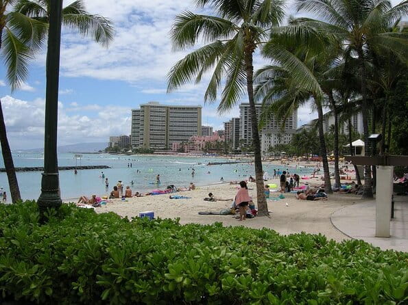 Kayak, Snorkel, and Surf with Turtles in Honolulu - Discover the Wonders of Kayak, Snorkel, and Surf with Turtles in Honolulu