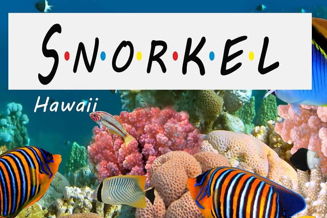 Kona Shore Excursion: Wild Dolphin Reefs Snorkel and Sea Caves - An In-Depth Look at the Experience