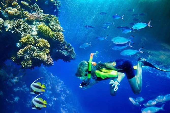 Lanai Snorkel and Dolphin Watch from Maalaea - Key Points