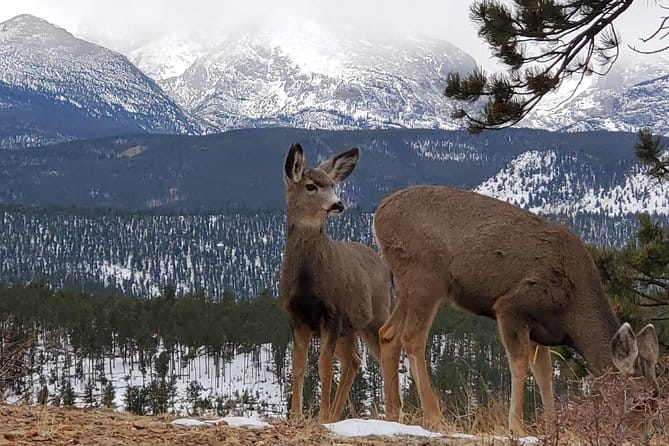 Lower Valley Tour RMNP - Discover the Beauty of Rocky Mountain National Park’s Lower Valley: A Guided Driving Tour Review