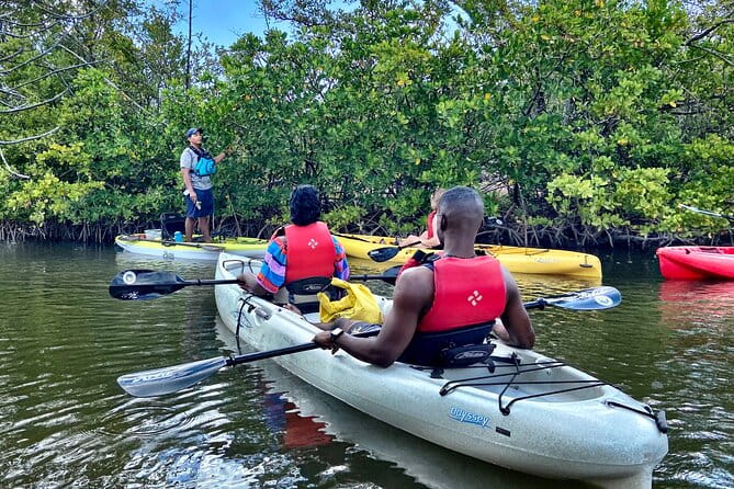 Mangrove Tunnel Kayak Eco Tour - Exploring the Mangrove Tunnel Kayak Eco Tour