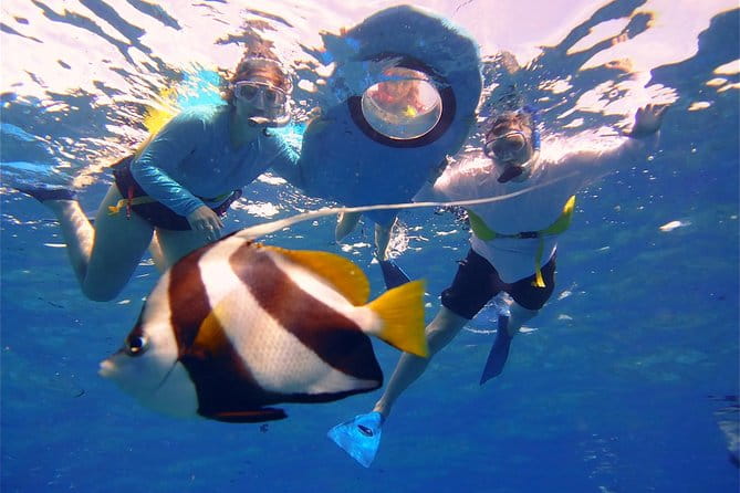 Maui Snorkeling Boat Tour to Turtle Town Aboard Quicksilver - Key Points