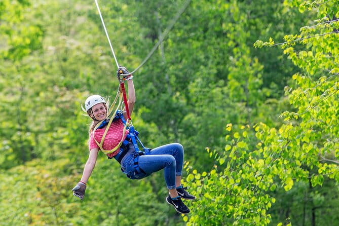 Minnesota River Valley 14-Line Thrilling Zipline Canopy Tour - What to Expect During the Zipline Tour