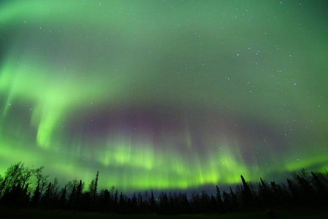 Northern Lights Murphy Dome Viewing in Fairbanks - Key Points
