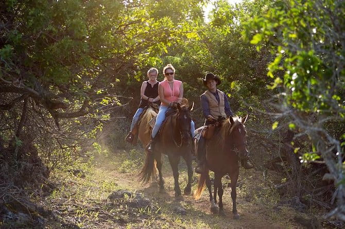 Oahu Sunset Horseback Ride - Oahu Sunset Horseback Ride: An Authentic North Shore Experience