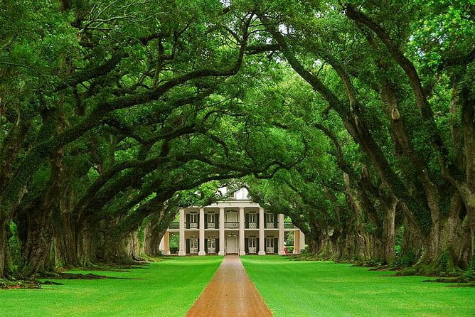 Oak Alley Plantation Half-Day Tour from New Orleans - Introduction