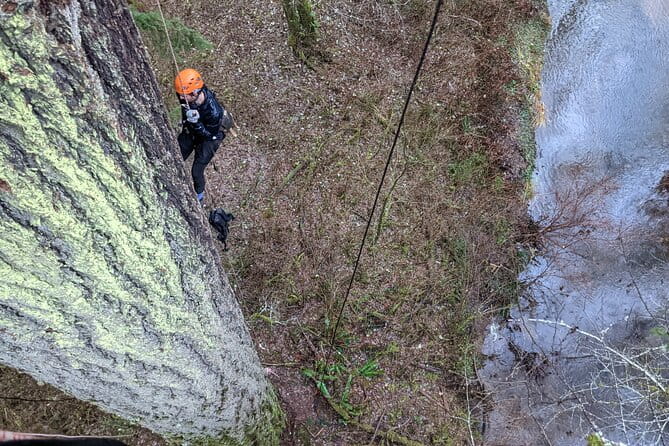 Old-Growth Tree Climbing at Silver Falls State Park - Exploring Silver Falls State Park and the Climb Itself
