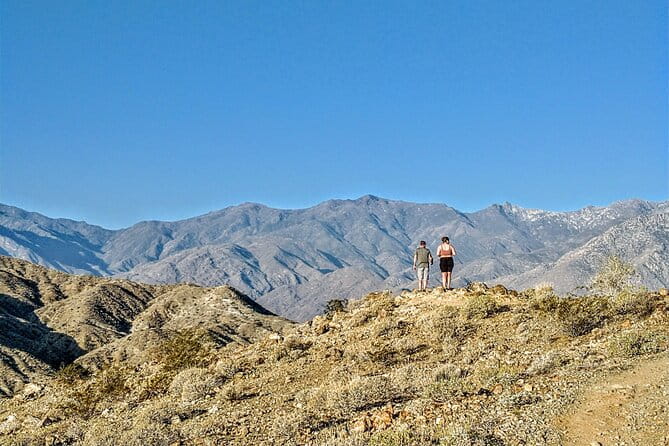 Palm Springs Hike to an Oasis and Amazing Desert Views - A Walk Through the Desert: Palm Springs Hike to an Oasis and Stunning Views