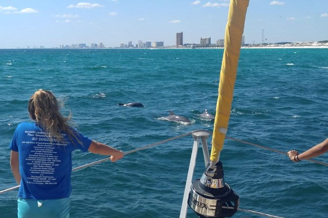 Panama City Beach Dolphin Sightseeing Sail - Exploring the Panama City Beach Dolphin Sightseeing Sail: An Authentic Water Adventure
