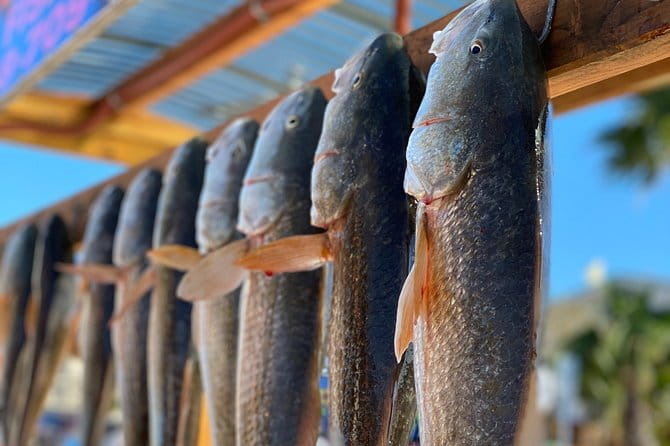 Private Bay Fishing South Padre Island - Why Choose a Private Fishing Trip on South Padre Island?
