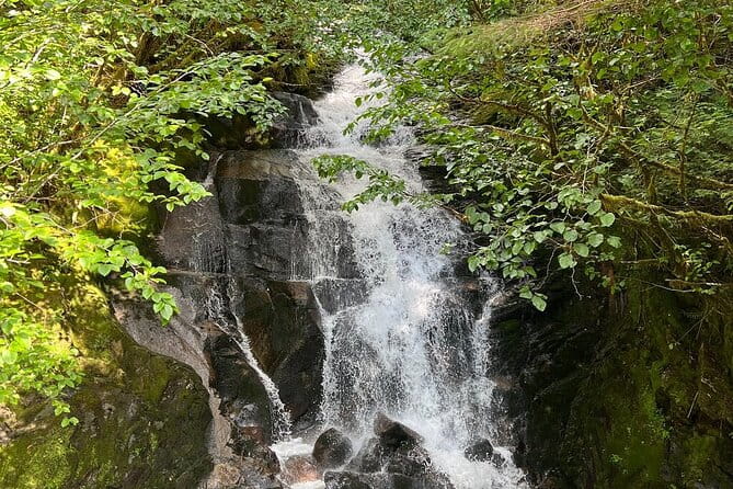 Private Ketchikan City Totems & Wildlife Van Tour - Key Points: