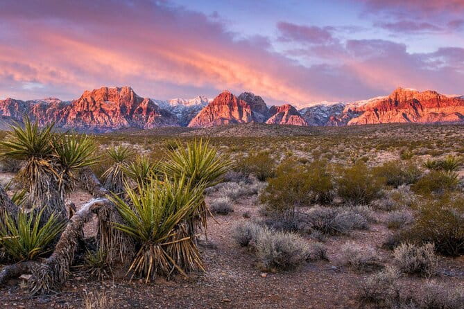 Red Rock Canyon Scenic Self-Drive Private Rental - What to Expect from the Red Rock Canyon Self-Drive Tour