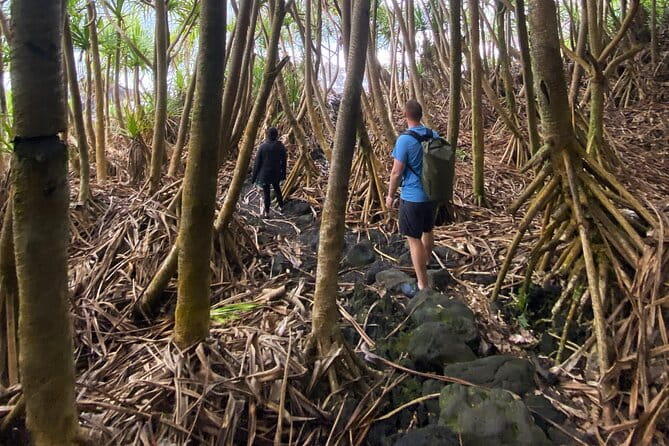 Secret Tide Pool Hike - Jungle & Coast - Private - Key Points