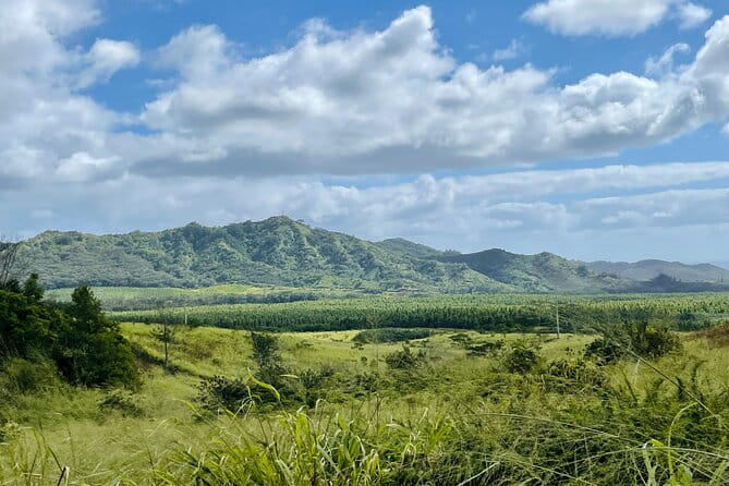 Shaka Zipline: 5 Line Zipline Tour (60 - 260 lbs) - An In-Depth Look at the Kauai Zipline Experience