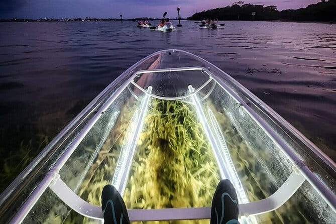Siesta Key, FL - Clear Kayak LED Night Glass Bottom Tour - The Experience: A Closer Look