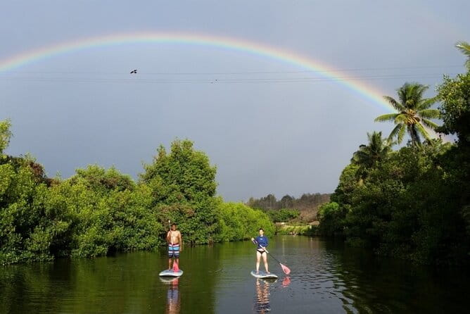 Stand Up Paddle Nature and Turtle tour-Guaranteed to see turtles - Introduction