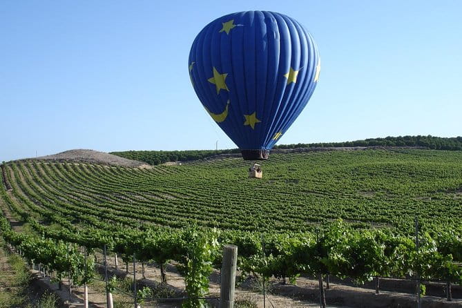 Temecula Shared Hot Air Balloon Ride - Temecula Shared Hot Air Balloon Ride: A Flight Above the Vineyards