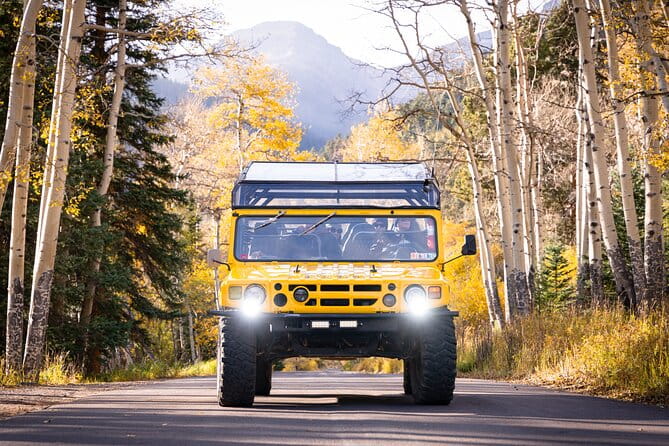 Wildside 4X4's Winter Wonderland Photo Tour - Discovering Rocky Mountain Winter in Comfort and Style