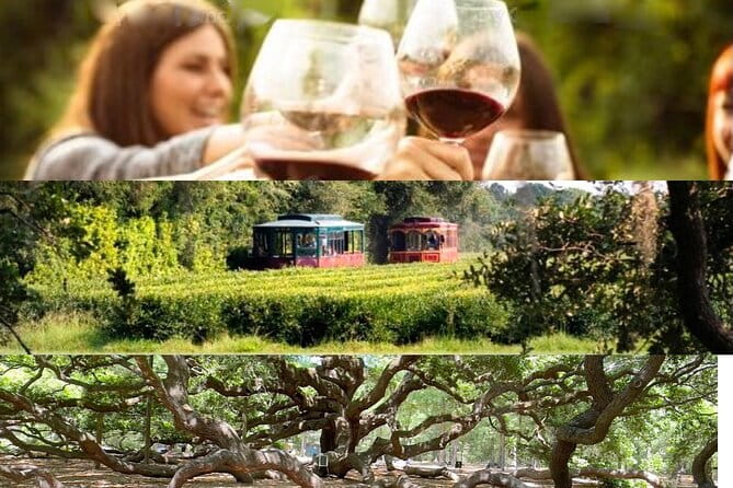 Wine Sippin'-Tea Drinkin'-Tree Huggin' Lowcountry Sightseeing - Key Points:
