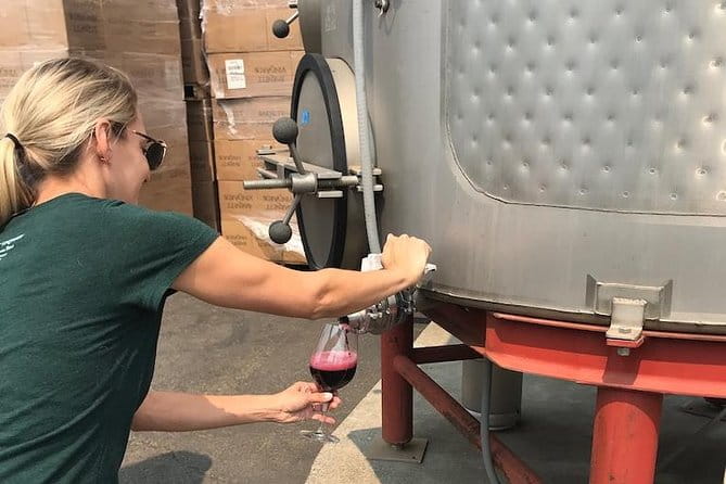Wine Tour Pros - Wine Tour and Transportation: SUV Up To 6 Guests - The Tour: A Deep Dive into What You Can Expect