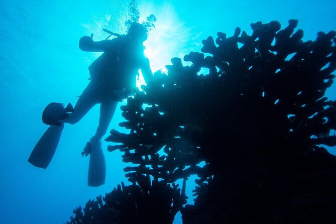 1 Tank Discover Scuba at Koloa Landing with No Experience needed - Introduction