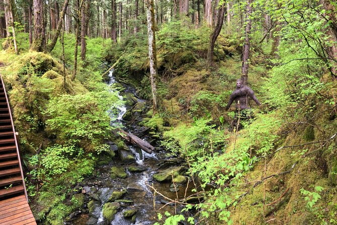 Alaska Bigfoot Adventures - What the Reviews Say