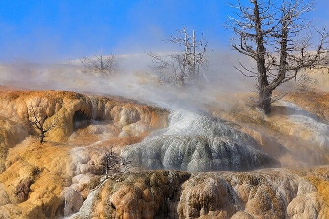Best Of Yellowstone Full Day Nat'l Park Tour From Gardiner - Additional Tips