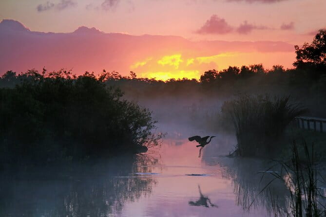 Everglades National Park Self Guided Driving Audio Tour - Stop 1: Anhinga Trail