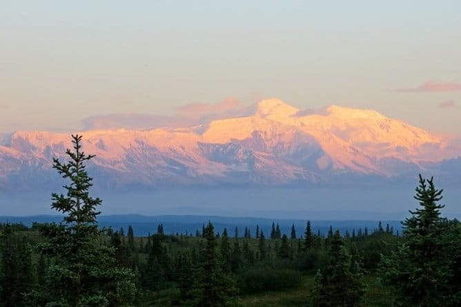 Fairbanks to Denali Shuttle Service - Authentic Traveler Insights