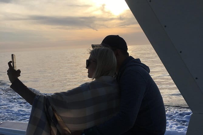 Family and Private Group Whale and Dolphin Watching - Who Should Take This Tour?
