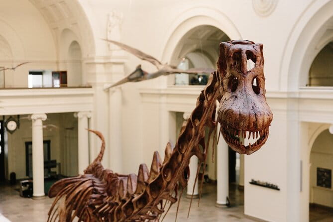 Field Museum of Natural History Early Access Ticket - The Experience and the Guides