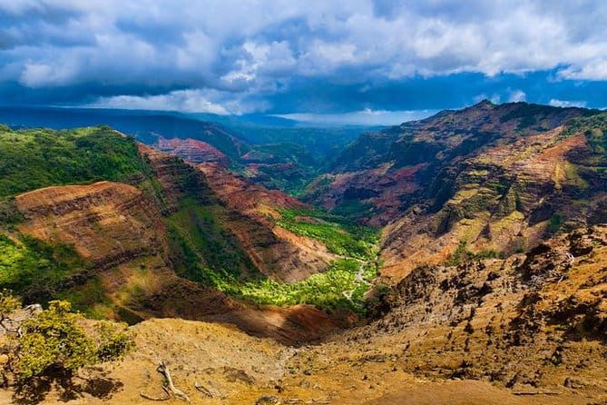 Kauai Cruise Ship Excursion: Wailua River & Fern Grotto - Why Choose This Tour?