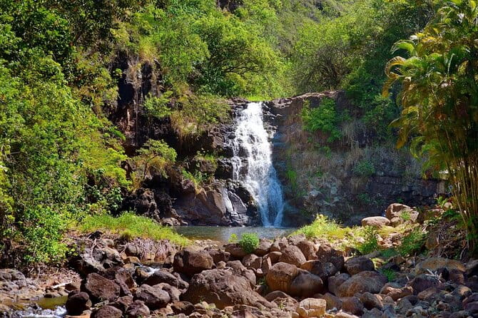 Northshore ocean adventure and circle islandJeep Tour- Guaranteed to see turtles - Water Activities: Kayaking, Paddleboarding, and More