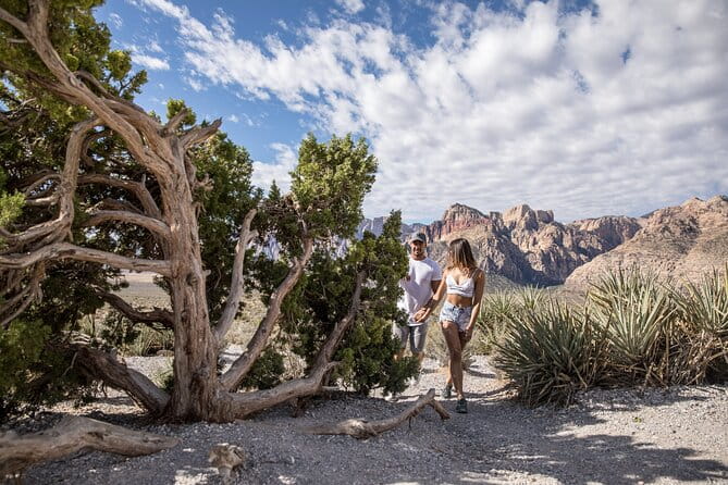Red Rock Canyon Scooter Tour from Las Vegas - Who Should Consider This Tour?