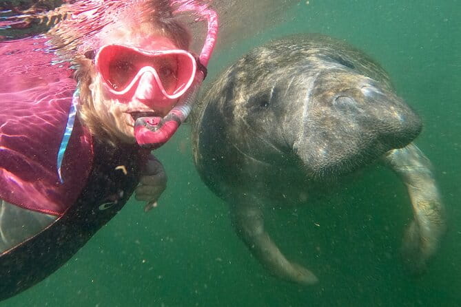 VIP Private Boat Manatee Snorkel Tour with In-Water Guide and Photograper - The Cost and Its Value