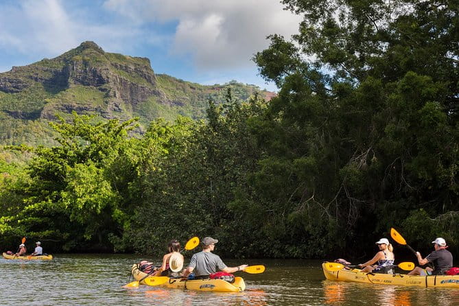 Wailua River Paddle - Authentic Experiences Backed by Happy Travelers