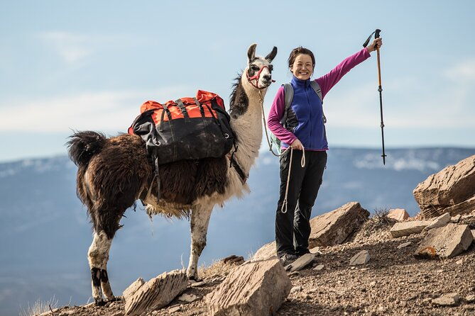 2-Hour Llama Hike - Introducing the 2-Hour Llama Hike Experience