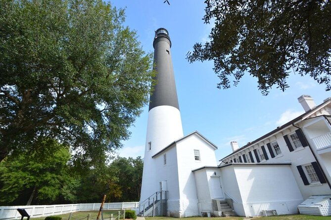 2 Hour Private Dolphin Cruise & Bay Tour - Review of the 2 Hour Private Dolphin Cruise & Bay Tour in Pensacola