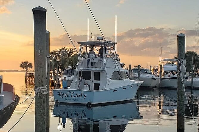2 Hour Private Dolphin Sightseeing Tour - Key Points