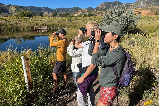 2 Hours of Mindful Bird Watching near Denver - Key Points
