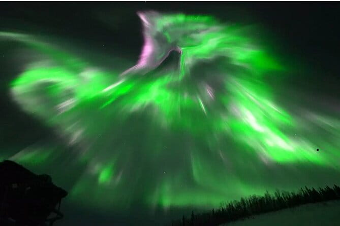 1 Day Shared Tour Arctic Circle and Aurora Viewing in Alaska - What’s Included and What to Consider