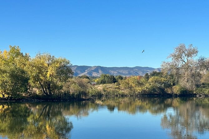 2 Hours of Mindful Bird Watching near Denver - Who Should Book This Tour?