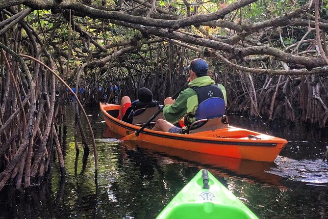 2Hour Everglades Kayak Safari Adventure Through Mangrove Tunnels - A Close Look at the Kayak Safari Experience