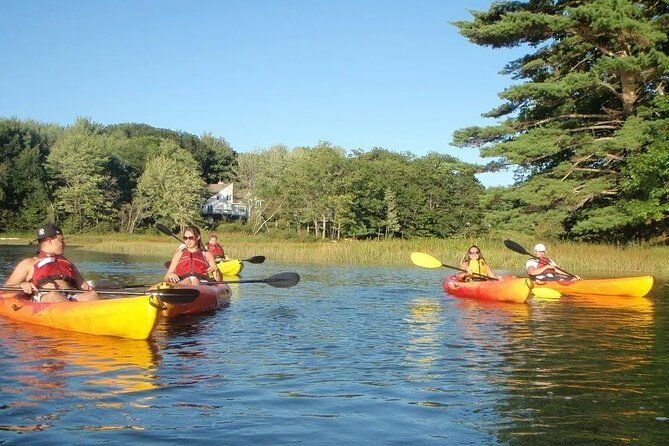 3 Hour Kayak/SUP Rental in Biddeford Pool - Paddling in Biddeford Pool: The Experience
