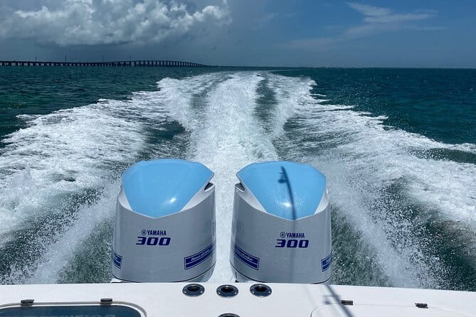 3 Hour Private Snorkeling in Marathon Florida - The Experience from the Traveler’s Perspective