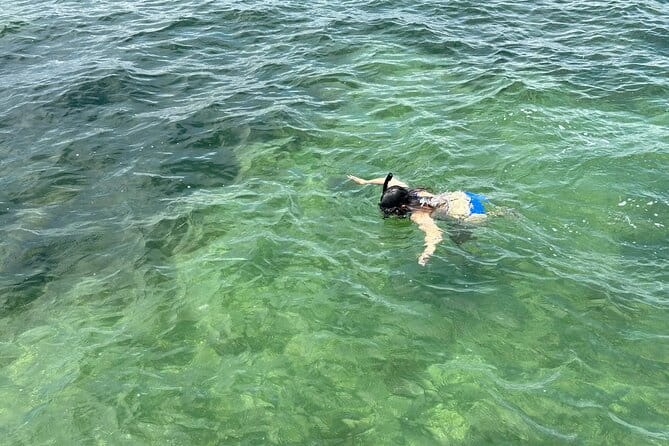 3 Hours Snorkeling Excursion in South Padre Island - Why It Works